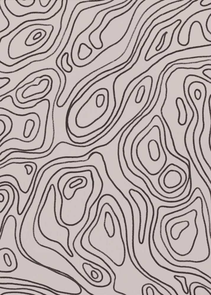 Flowing Contours | Poster