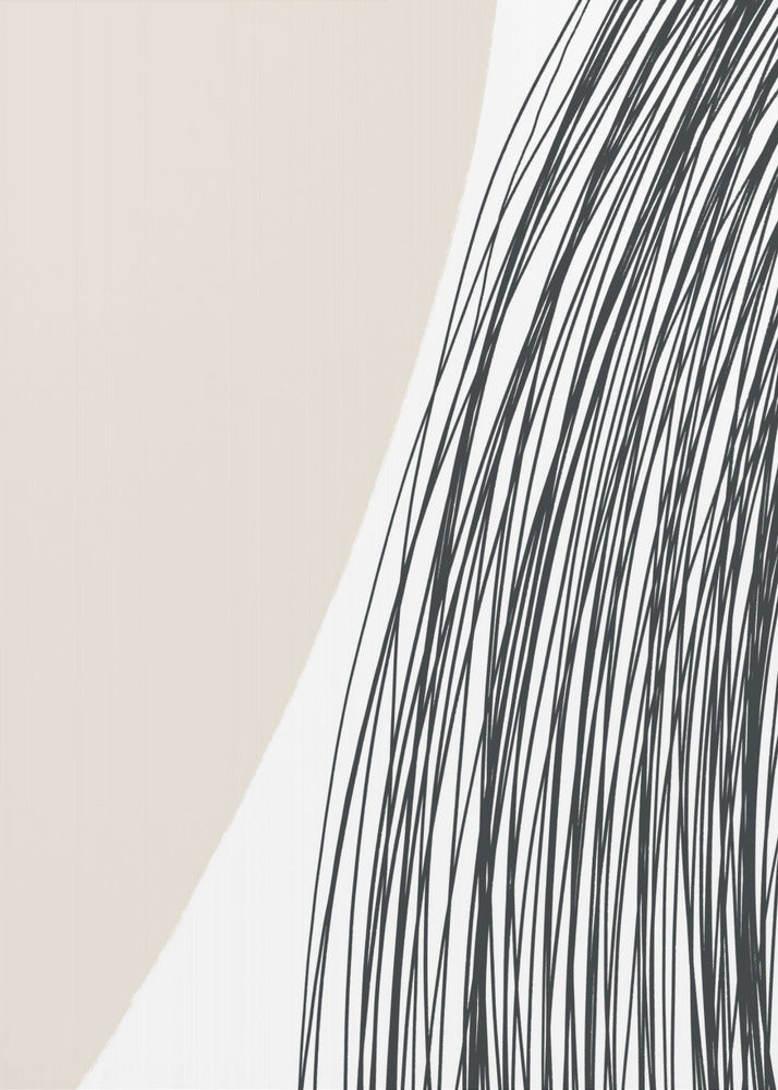 Curved Lines Harmony | Poster