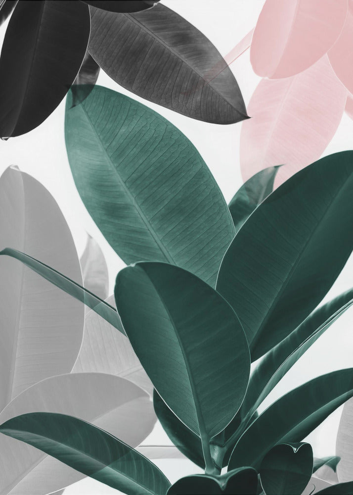 Leaf Play | Canvas