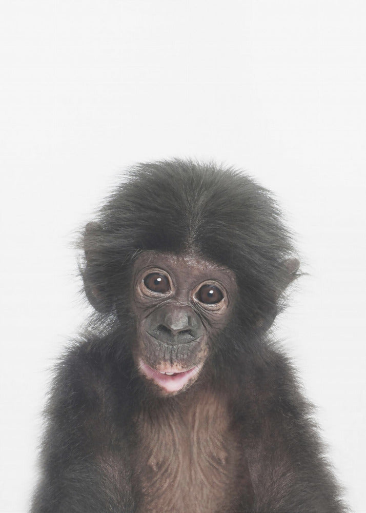 Baby Monkey | Poster