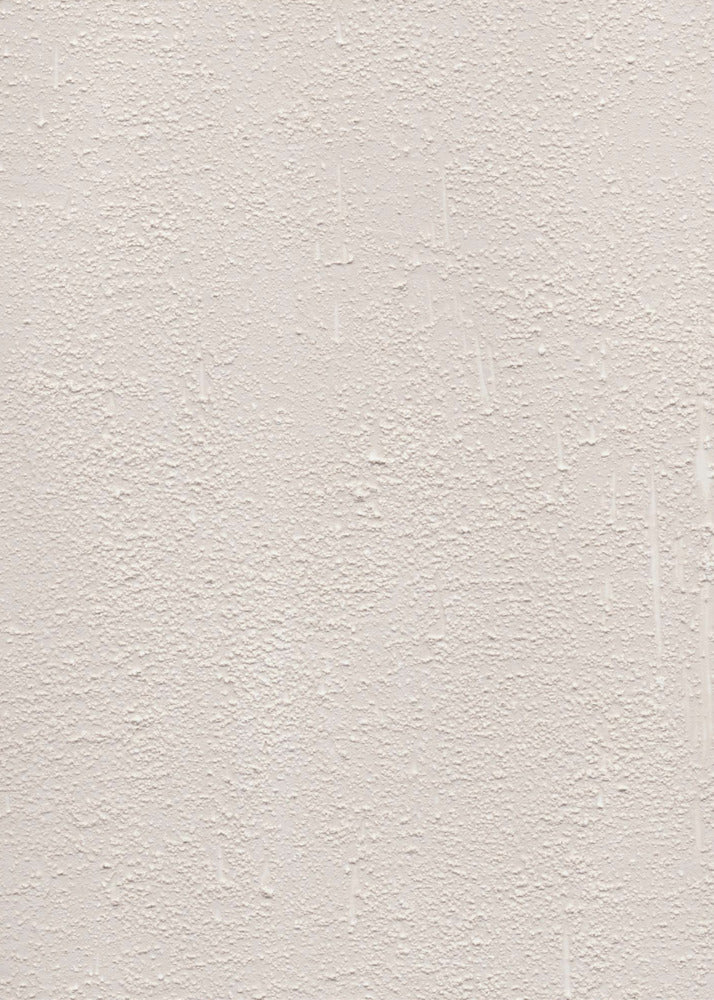Beige Tone With Subtle Variations | Canvas