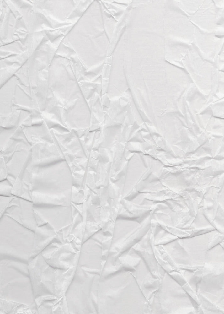 Crinkled Whispers | Canvas