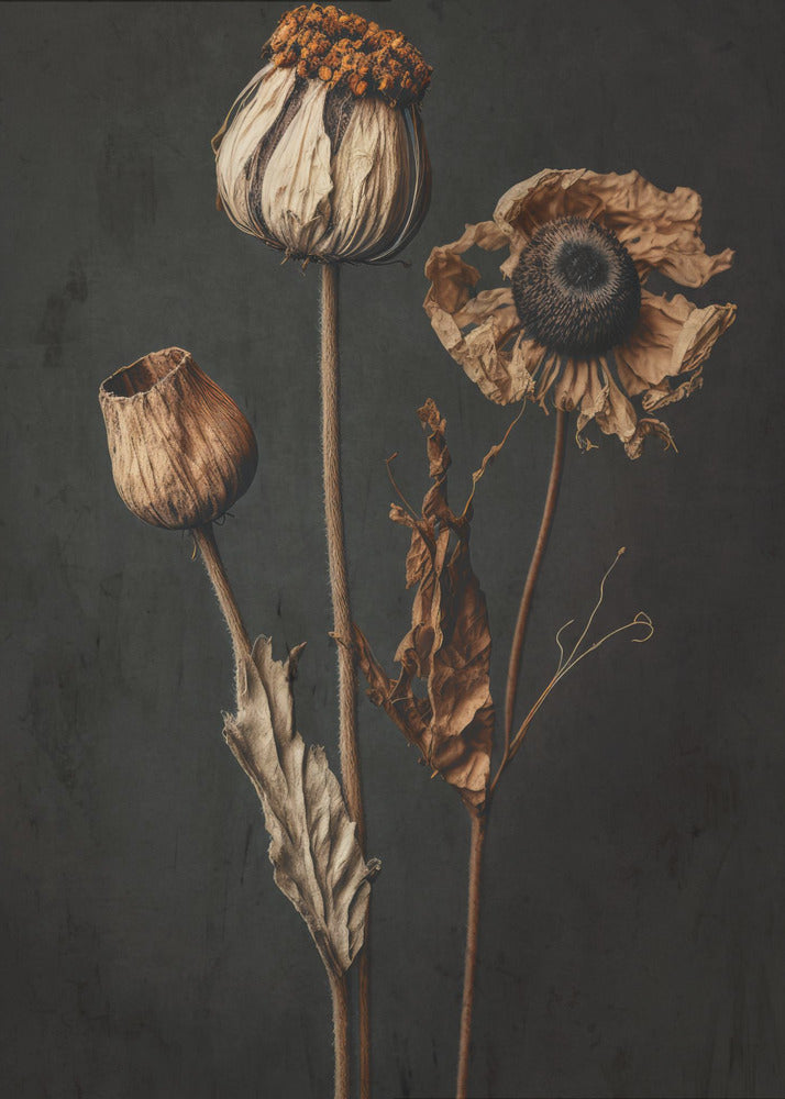 Withered Elegance | Poster
