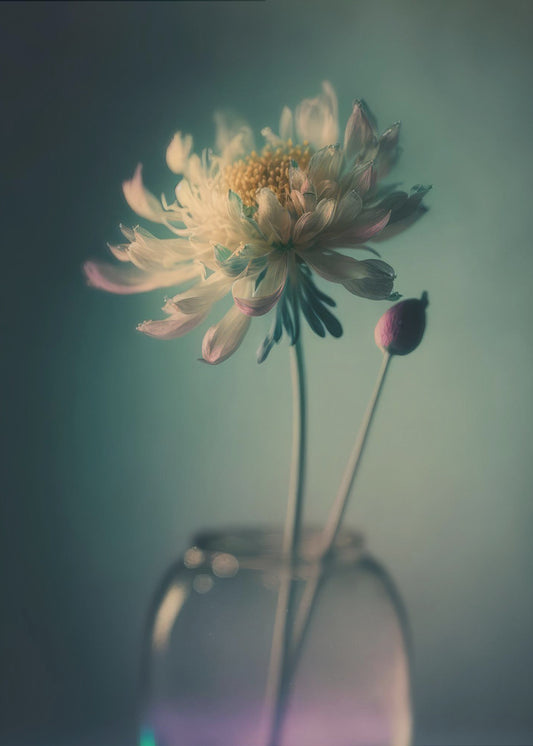 Ethereal Blossom | Poster