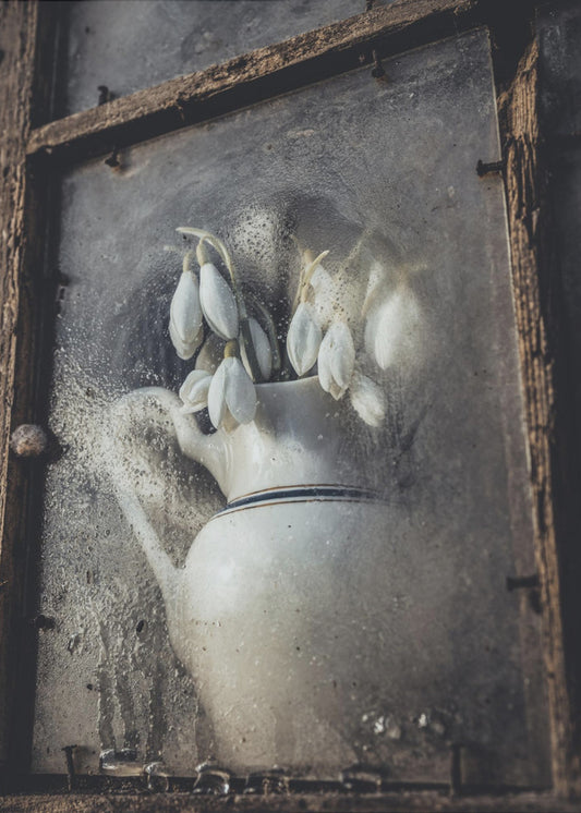 Spring flowers | Canvas