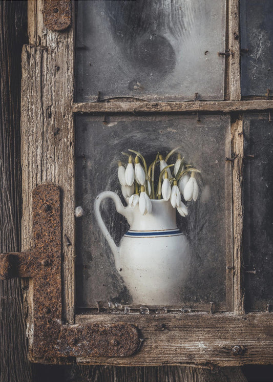 Spring flowers in the window | Canvas