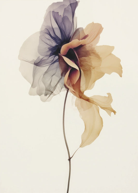 Chiffon Flower | Poster