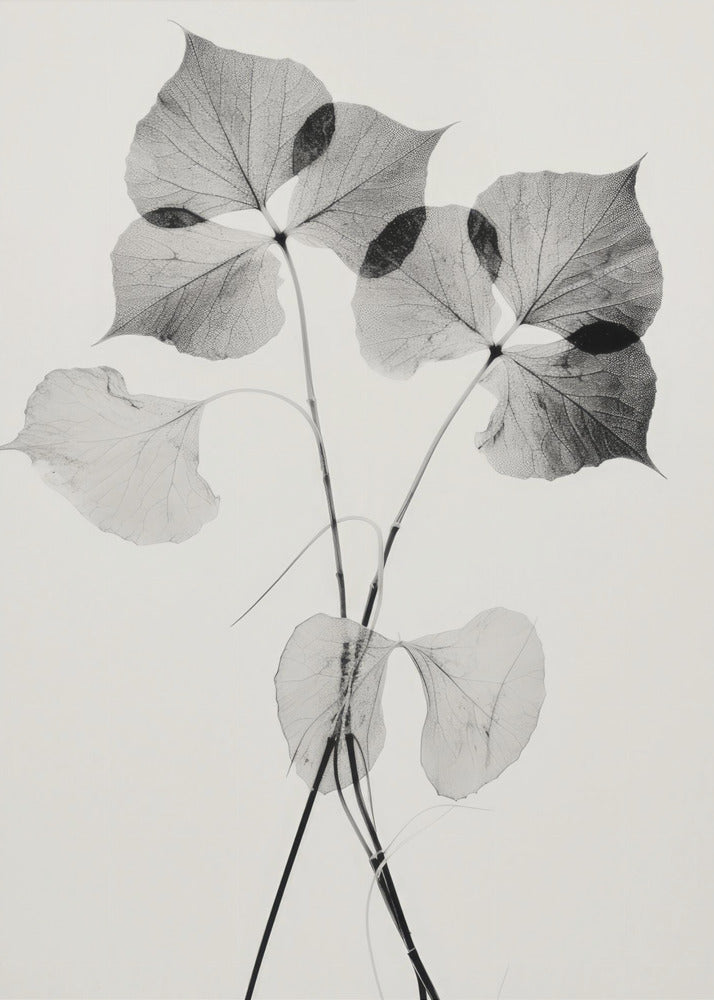 Ethereal Leaves | Poster