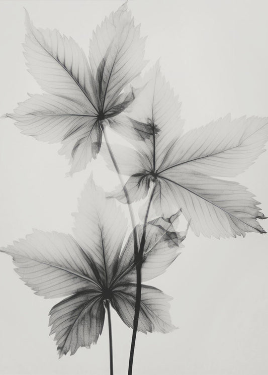 Ethereal Veins | Poster