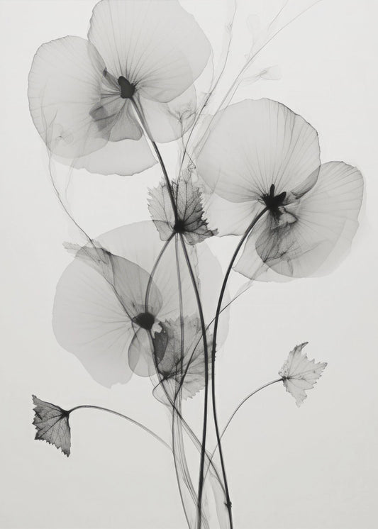 Transparent Botanic No1 | Poster