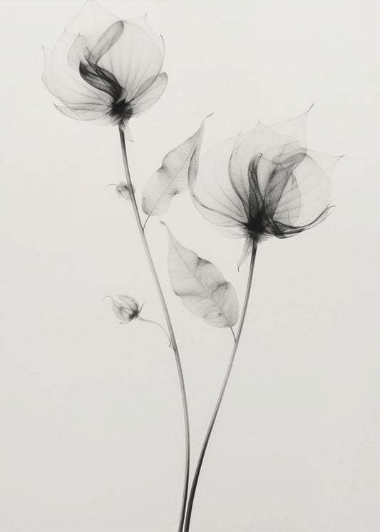 Ethereal Blooms | Poster