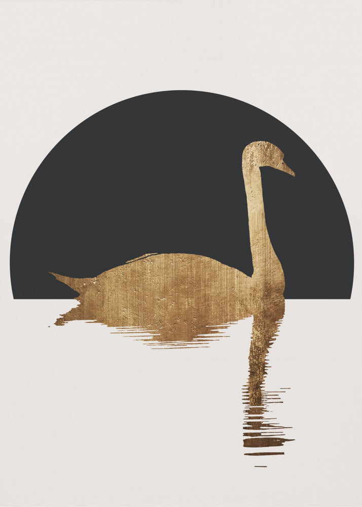 The Swan Black | Canvas