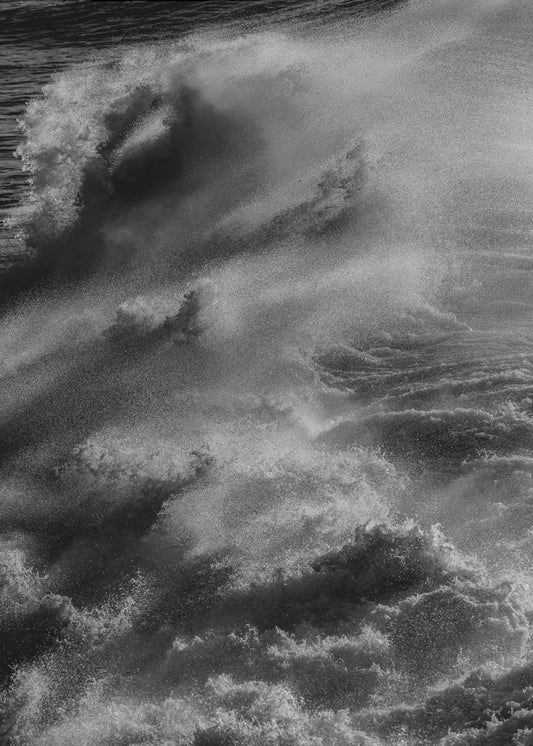 Tempest's Grace | Canvas