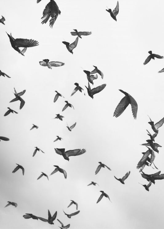 Skyward Symphony | Canvas