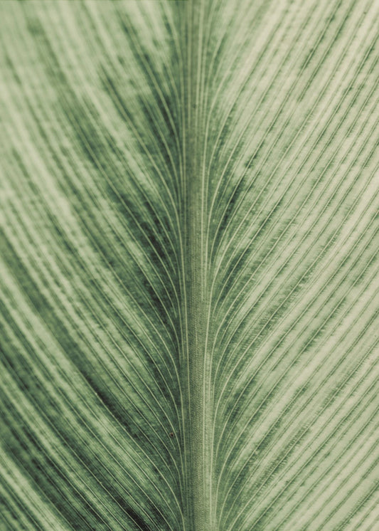 Verdant Veins | Canvas