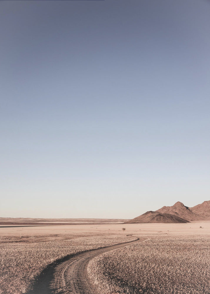 Desert Pathway | Poster