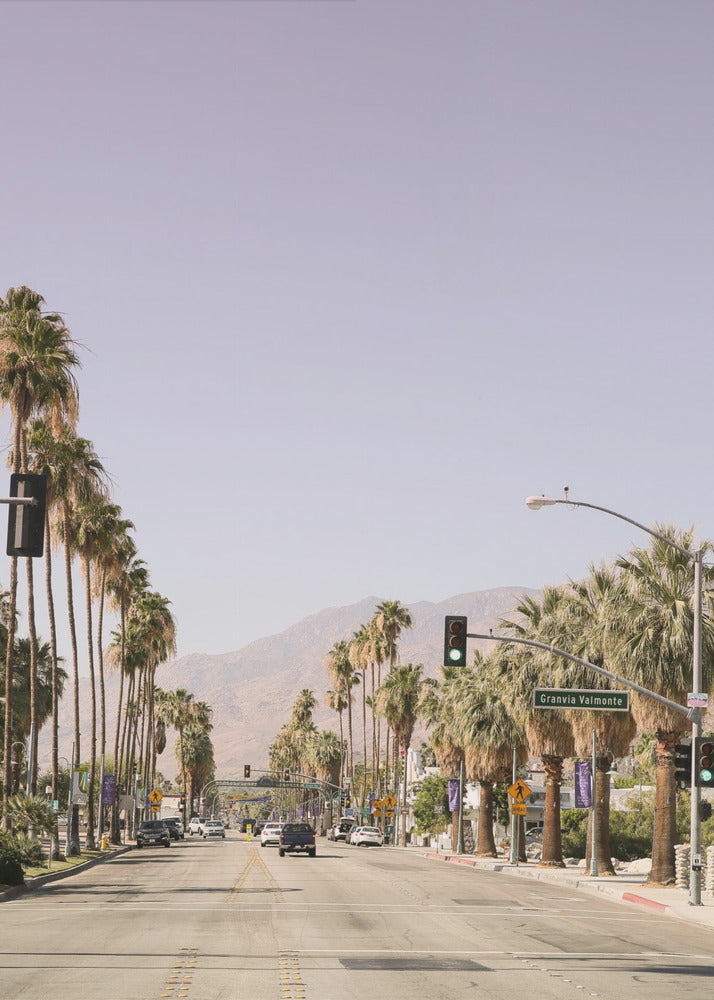 Palm-Lined Avenue | Poster