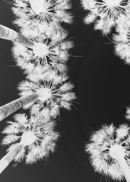 Inverted Palmscape | Poster