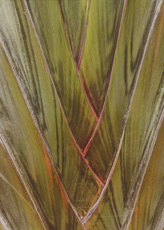 Verdant Vortex | Poster