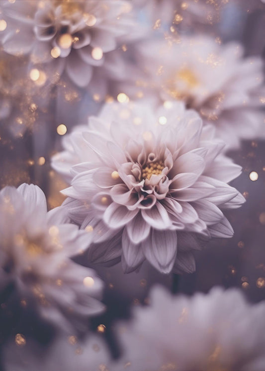 Petal Dreams | Poster