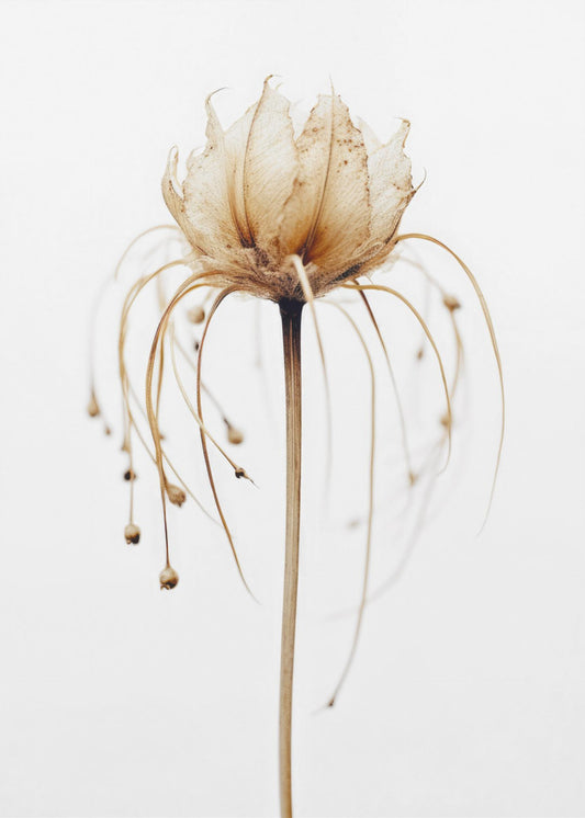 Ethereal Bloom | Poster