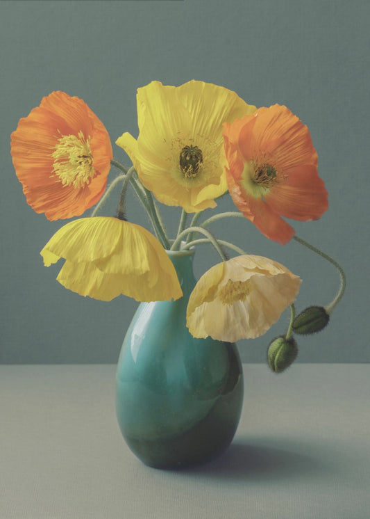 Icelandic Poppy Still Life | Canvas
