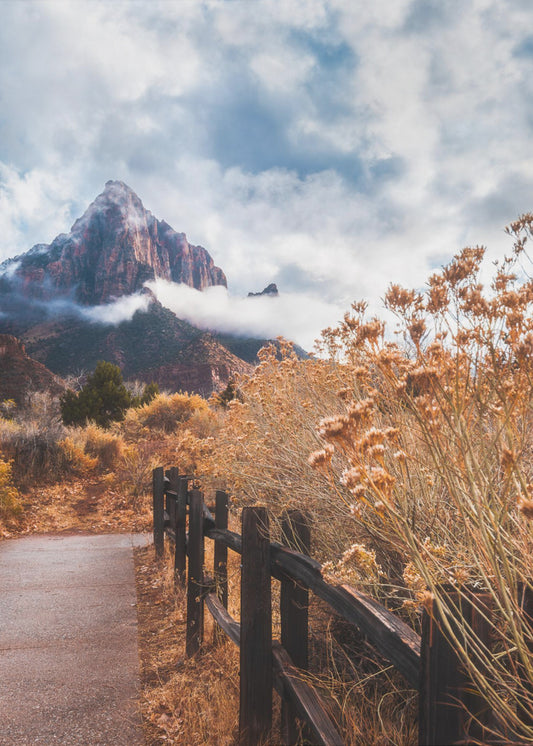 The trail to the rock | Canvas