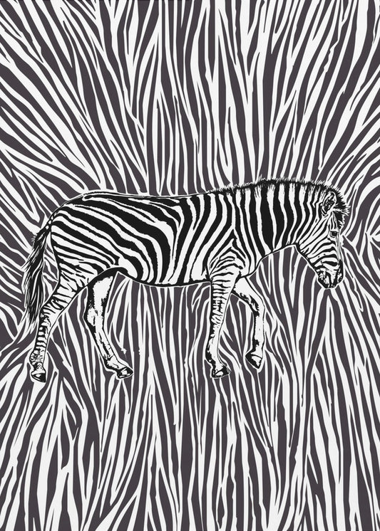 African Zebra striking camouflage | Poster
