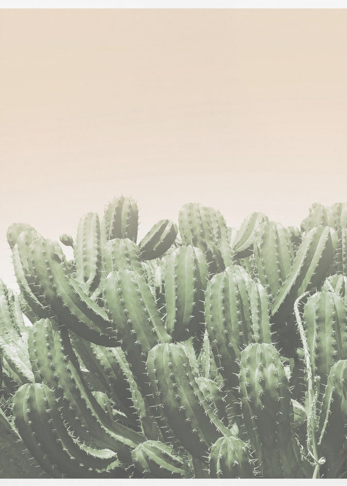 Desert’s Embrace | Canvas