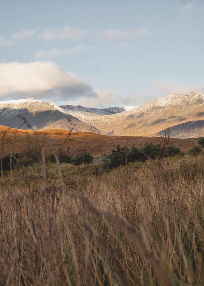 Highlands | Poster