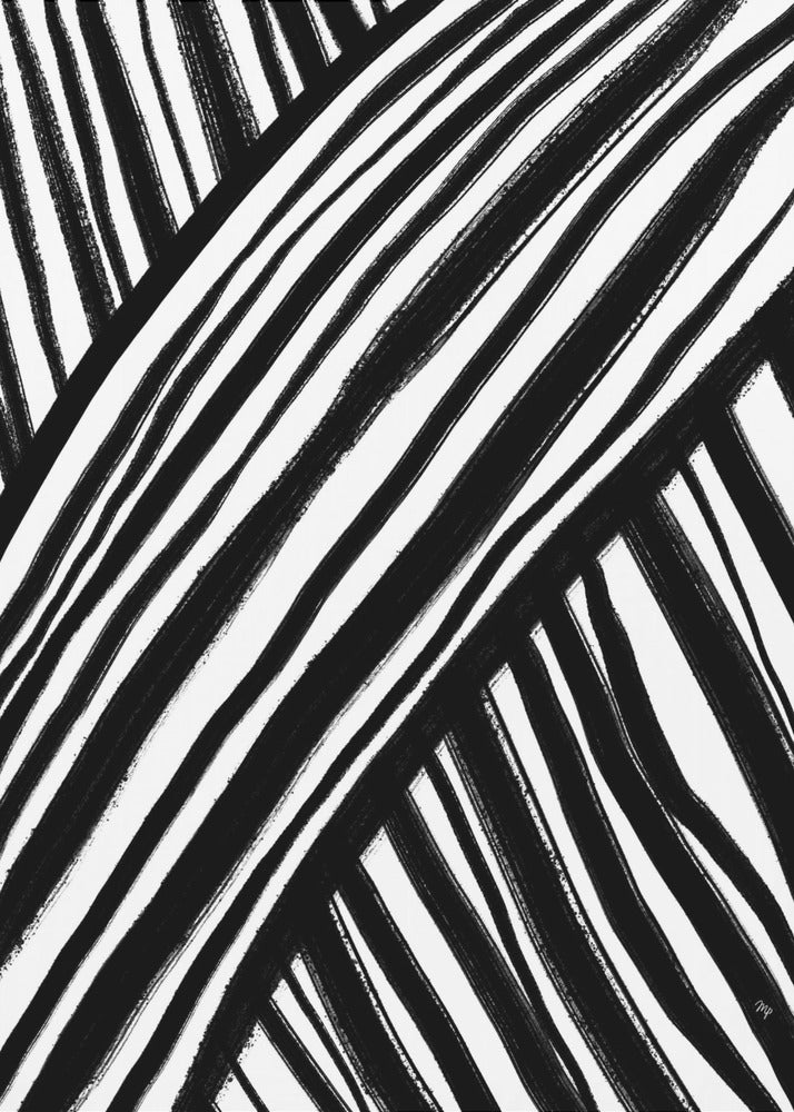 Zebra's Pathway | Canvas