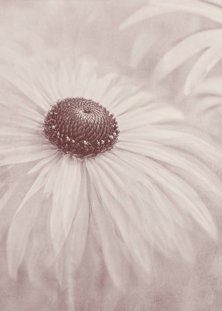 Reminiscence | Poster