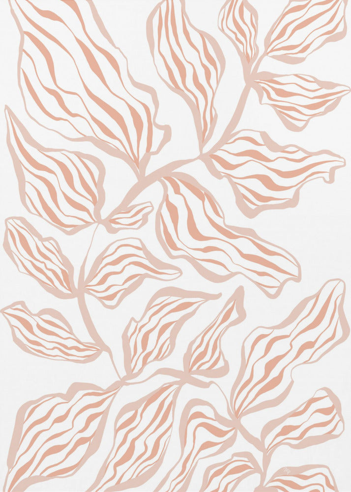 Coral Leaves On A White Background | Poster