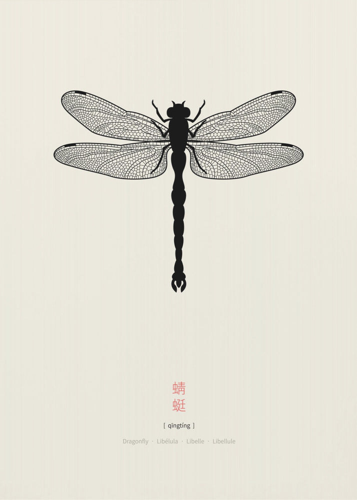 Dragonfly | Poster
