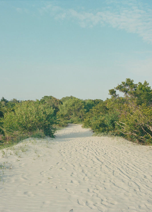 Sullivan's Island | Canvas