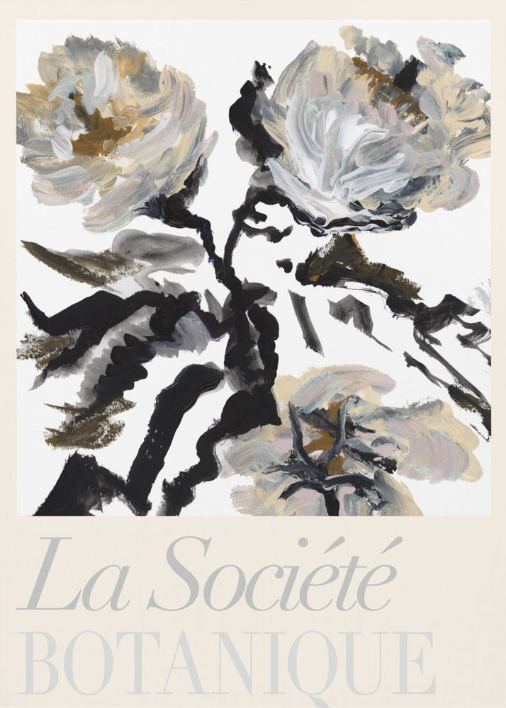 La Société Botanique Black, White and Cream Flowers | Poster