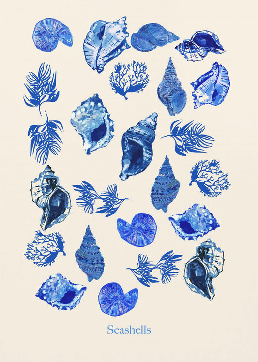 Seashells Poster | Canvas