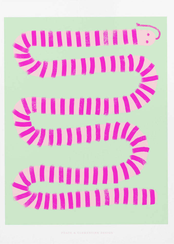 Pandc Pinksnake Copy | Canvas