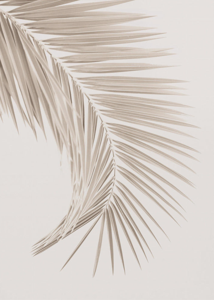 Tan Leaf | Poster
