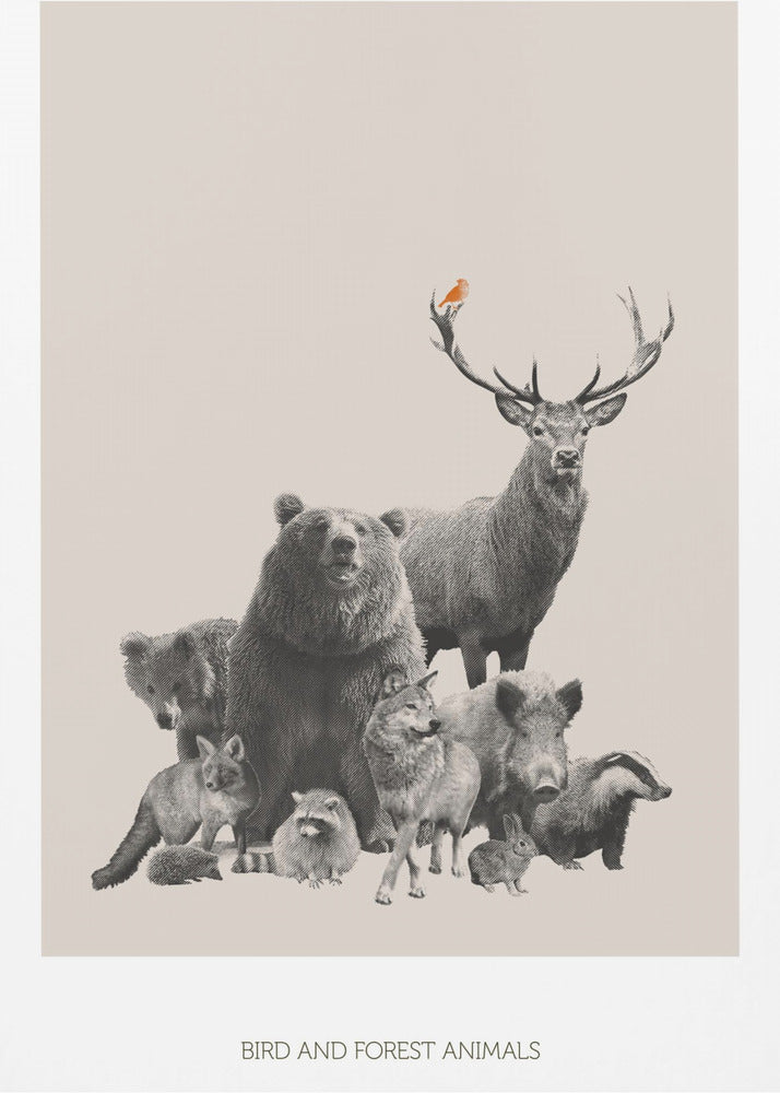 Bird and Forest Animals | Poster