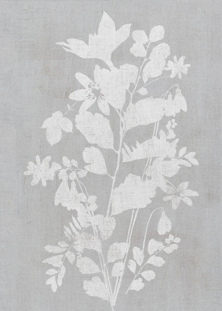 Botanical Illustration 2 | Canvas