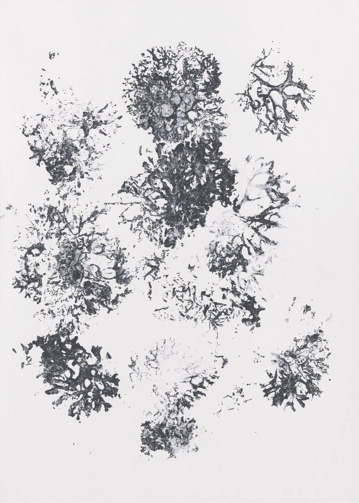 Plants II | Canvas