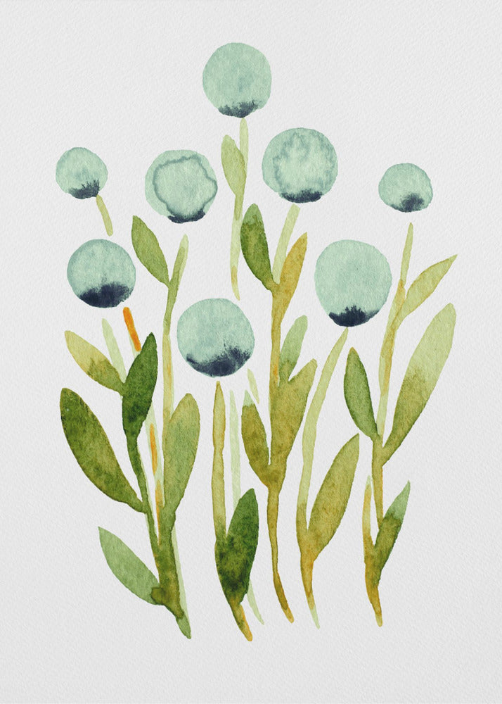 Blue Spherical Flowers | Canvas