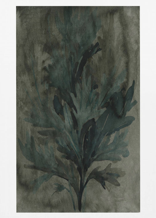 Deepwater Bloom 2 | Poster