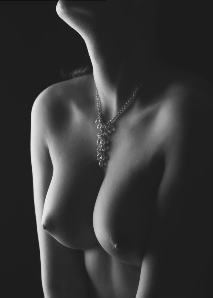 Nude curves | Canvas