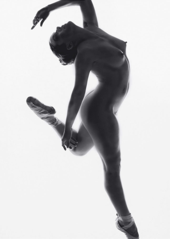 Fine Art Dance ... | Canvas
