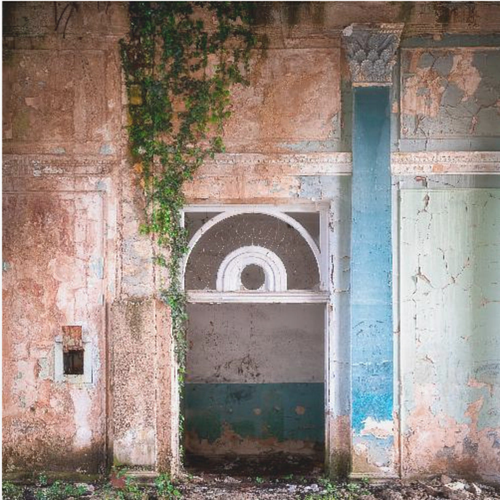 Overgrown Entrance | Canvas