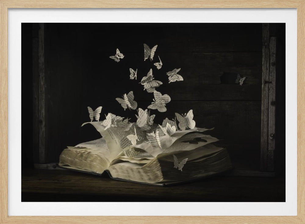 Lepidopterology | Poster