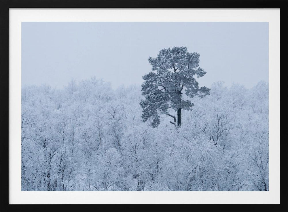 First snow | Poster