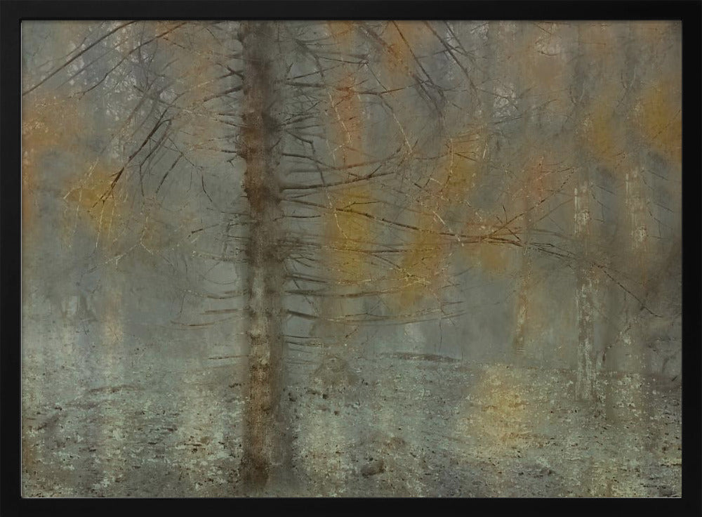 Pine tree | Poster